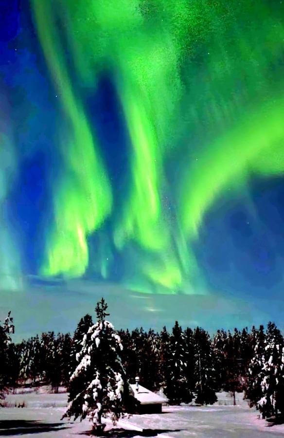 Northern Lights Lapland Villa Hosio Ngoại thất bức ảnh